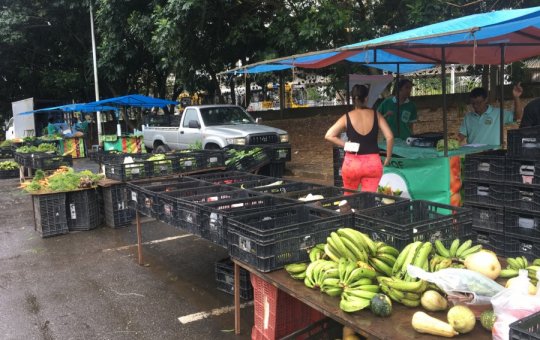 Cesta Básica de Salvador fecha março com alta de 1,72%