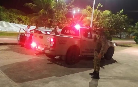 Três pessoas são detidas após abandonar nove gatos em Piatã