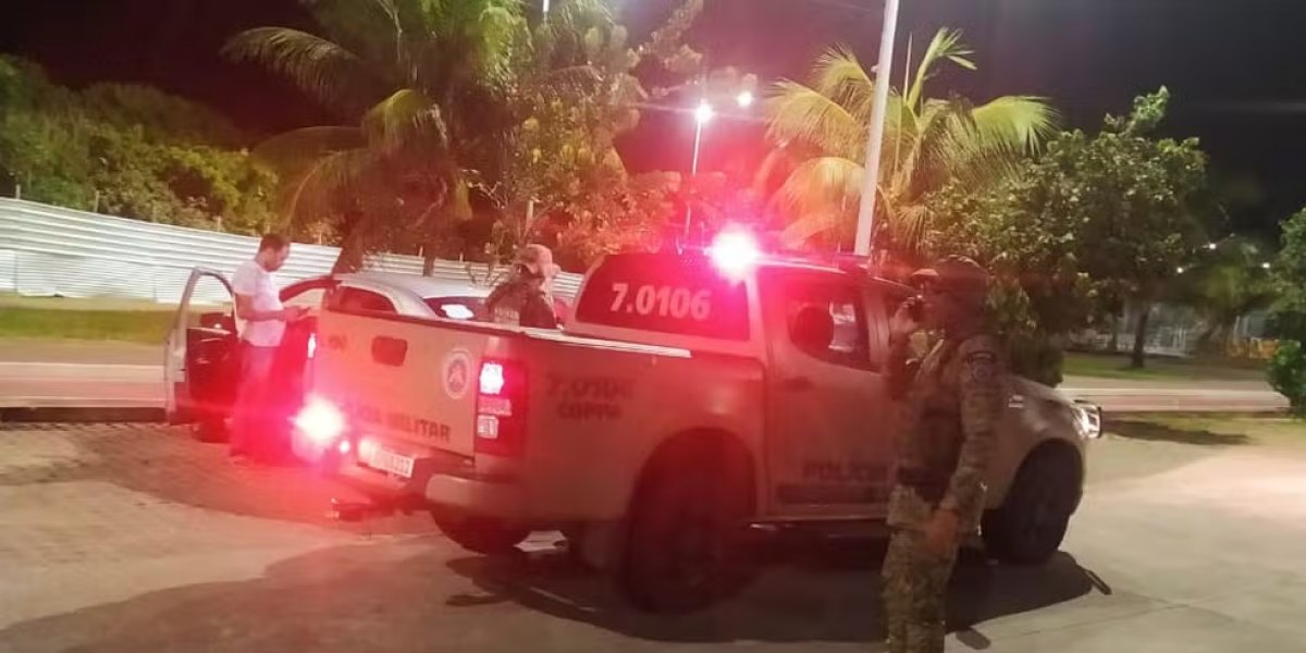 Três pessoas são detidas após abandonar nove gatos em Piatã