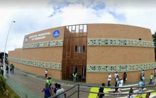 Hospital Veterinário de Salvador obteve mais de mil atendimentos em 15 dias