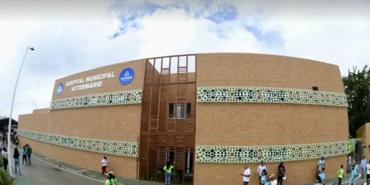 Hospital Veterinário de Salvador obteve mais de mil atendimentos em 15 dias