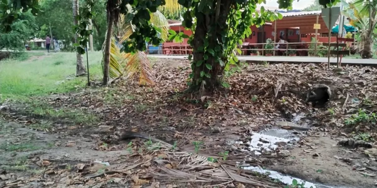 Esgoto a céu aberto é denunciado por moradores de vila em Imbassaí