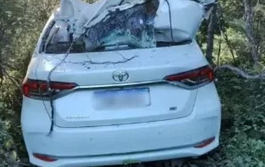 Engenheiro de 30 anos morre após atropelar vaca em rodovia