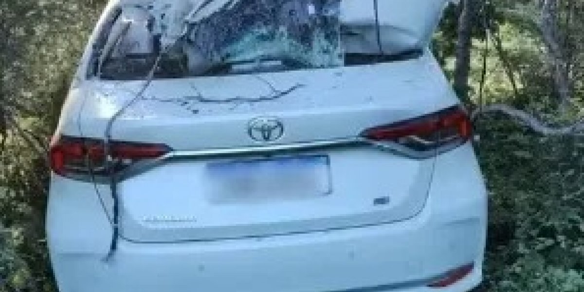 Engenheiro de 30 anos morre após atropelar vaca em rodovia