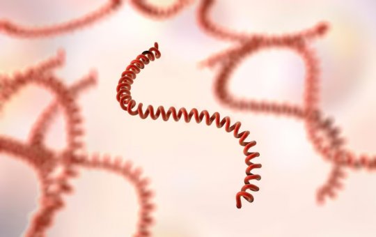 Chuvas em Salvador e os riscos de doenças relacionadas a enchentes