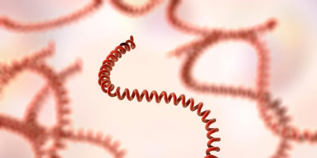 Chuvas em Salvador e os riscos de doenças relacionadas a enchentes