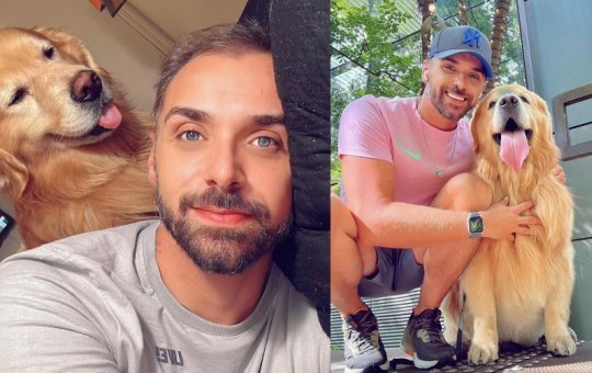 Golden retriever morre após ser embarcado em voo errado