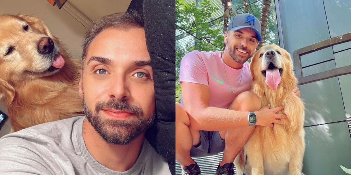 Golden retriever morre após ser embarcado em voo errado