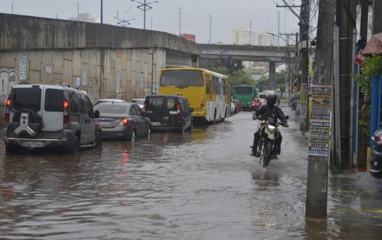 Fortes chuvas em Salvador tem queda de árvores e alagamentos nesta quarta (24)