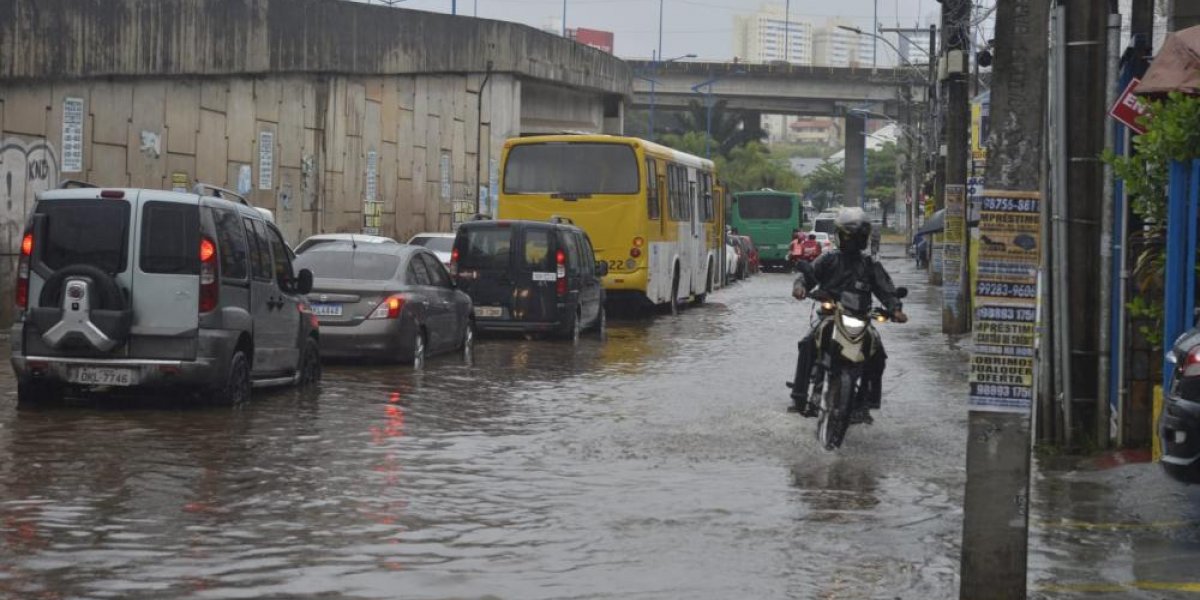 Fortes chuvas em Salvador tem queda de árvores e alagamentos nesta quarta (24)