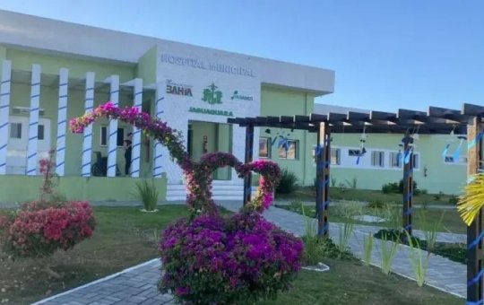 Pitbull ataca mulher grávida e é morto por familiares na Bahia