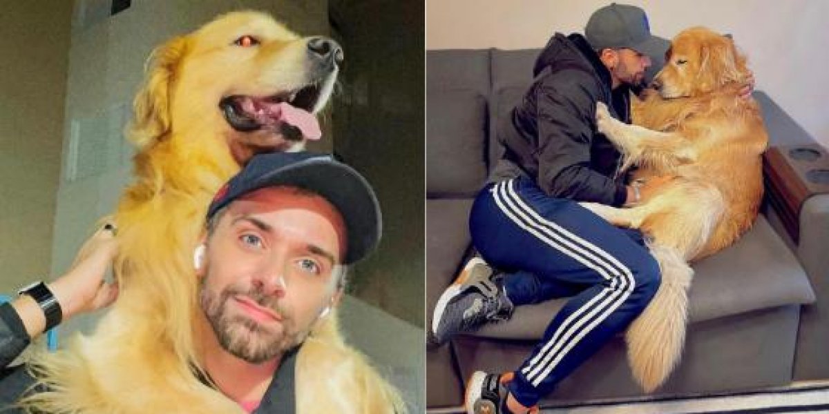 Ministério da Justiça solicita explicações a GOL sobre cão morto em avião