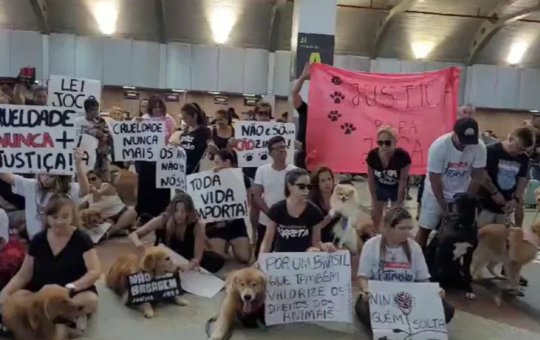 Tutores de animais realizam manifestação em aeroporto de Salvador
