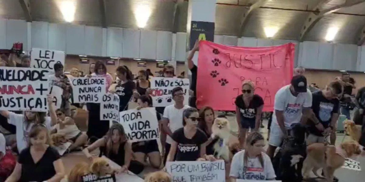 Tutores de animais realizam manifestação em aeroporto de Salvador
