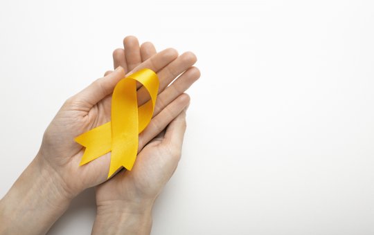 Campanha do Maio Amarelo promove alerta para segurança no trânsito