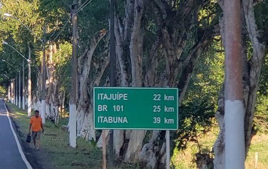 Caminhão tomba e população saqueia carga com carne