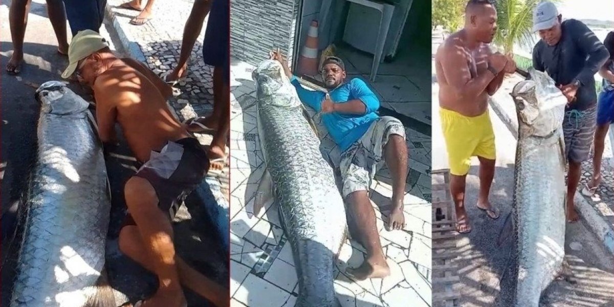 Baiano pesca peixe de quase 2 metros no recôncavo baiano