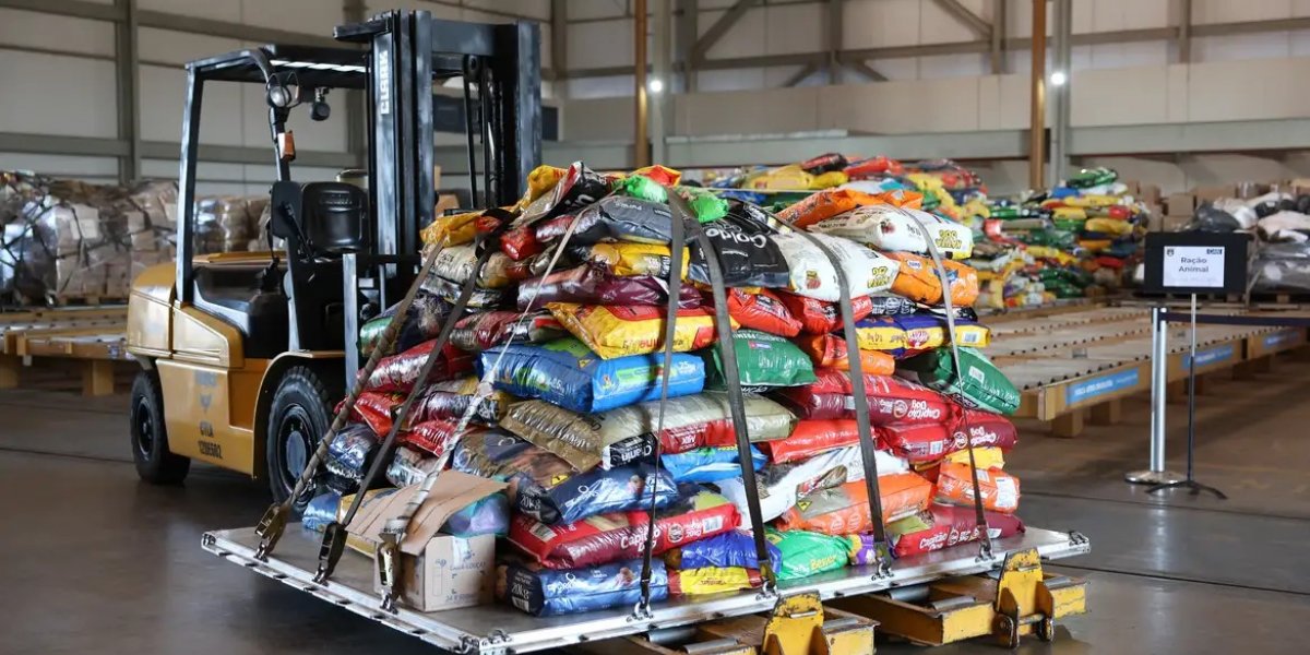 Avião da FAB leva 20 toneladas de ração para pets do RS