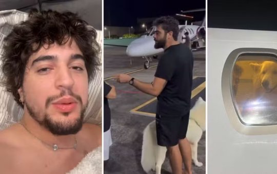 Henrique e Juliano levam cachorros de Nattanzinho para casa após cantor dormir