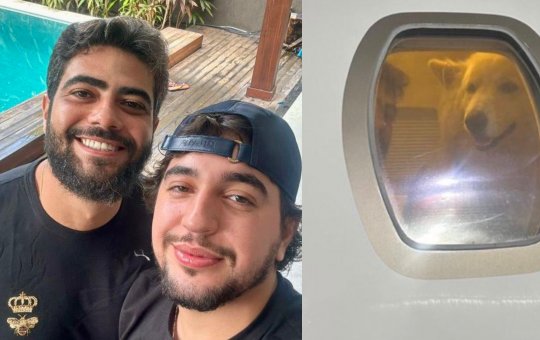 Nattan responde aos filhos de Henrique após ter cachorros levados