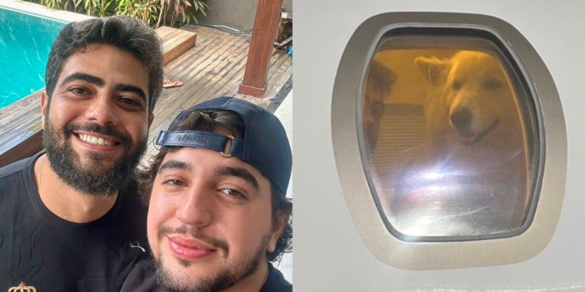 Nattan responde aos filhos de Henrique após ter cachorros levados