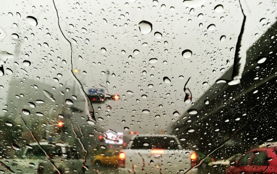 Mais de 65 ocorrências foram registrados pela Codesal