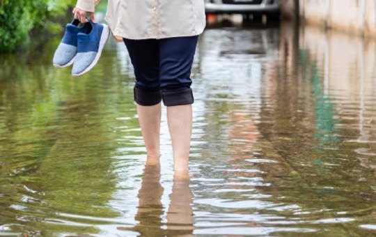 Bahia registra 52 casos de leptospirose após fortes chuvas em 2024