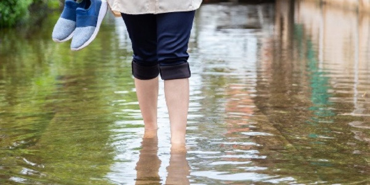 Bahia registra 52 casos de leptospirose após fortes chuvas em 2024