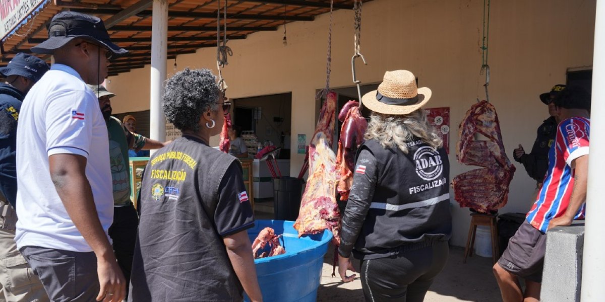 FPI apreende carne e madeira irregular e resgata mais de 400 animais