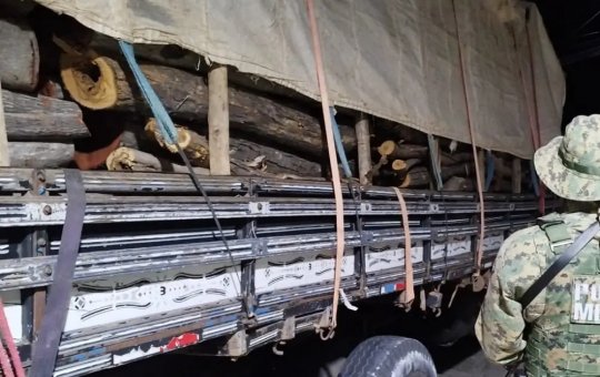 Caminhão que realizava transporte de madeira irregular é flagrado pela PM