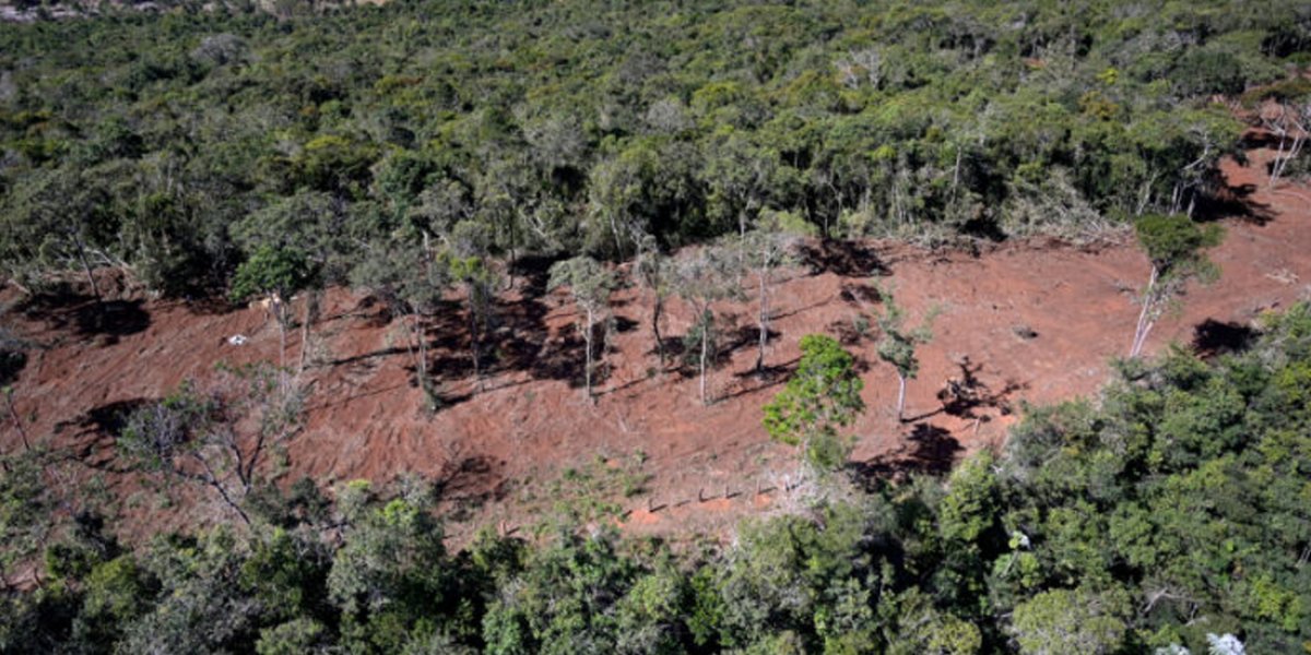 Bahia ocupa segunda posição em ranking de Estados com mais desmatamentos