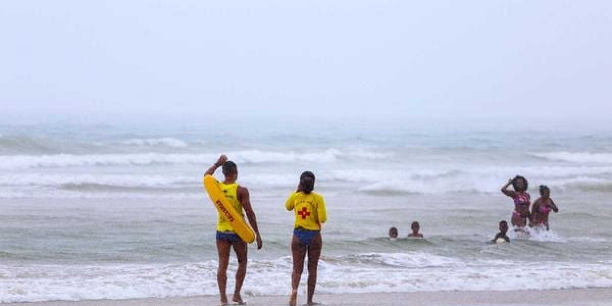 Salvamar emite alerta sobre águas-vivas nas praias de Salvador; veja detalhes