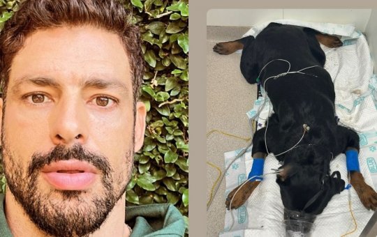Cauã Reymond conta que cães foram envenenados