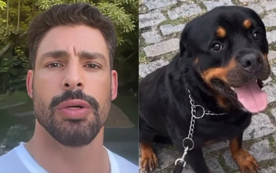 Cachorro de Cauã Reymond morre após ser envenenado