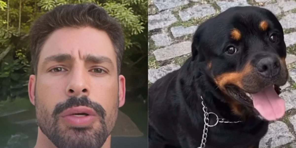 Cachorro de Cauã Reymond morre após ser envenenado