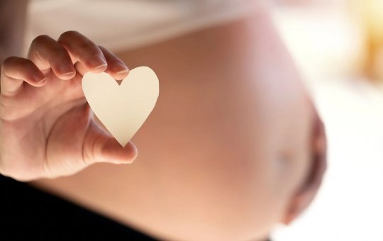 Mulher Grávida invade câmara e exige que vereador reconheça o filho