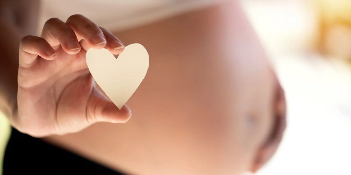 Mulher Grávida invade câmara e exige que vereador reconheça o filho