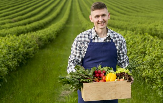 Empresas de hortifruti no Sul da Bahia alvo de operação por sonegar R$ 10m