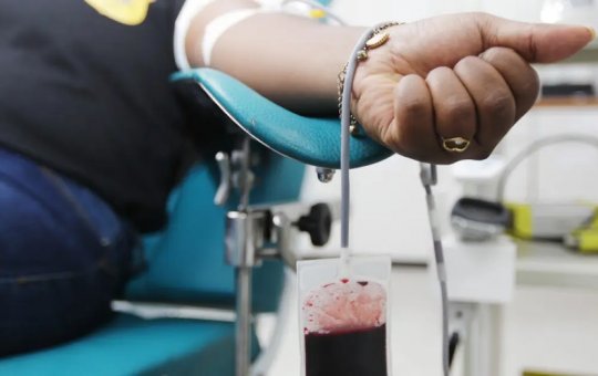 Dia Mundial do Doador de Sangue: Um Gesto que Salva Vidas