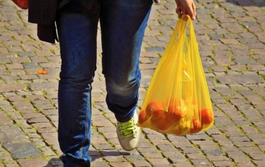 Câmara de Salvador aprova gratuidade de sacolas em supermercados