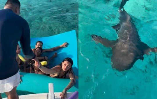 Xanddy e família são surpreendidos por tubarões durante passeio de lancha