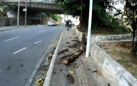Árvore cai e destroi carro no Vale de Nazaré, em Salvador, durante jogo do Bahia