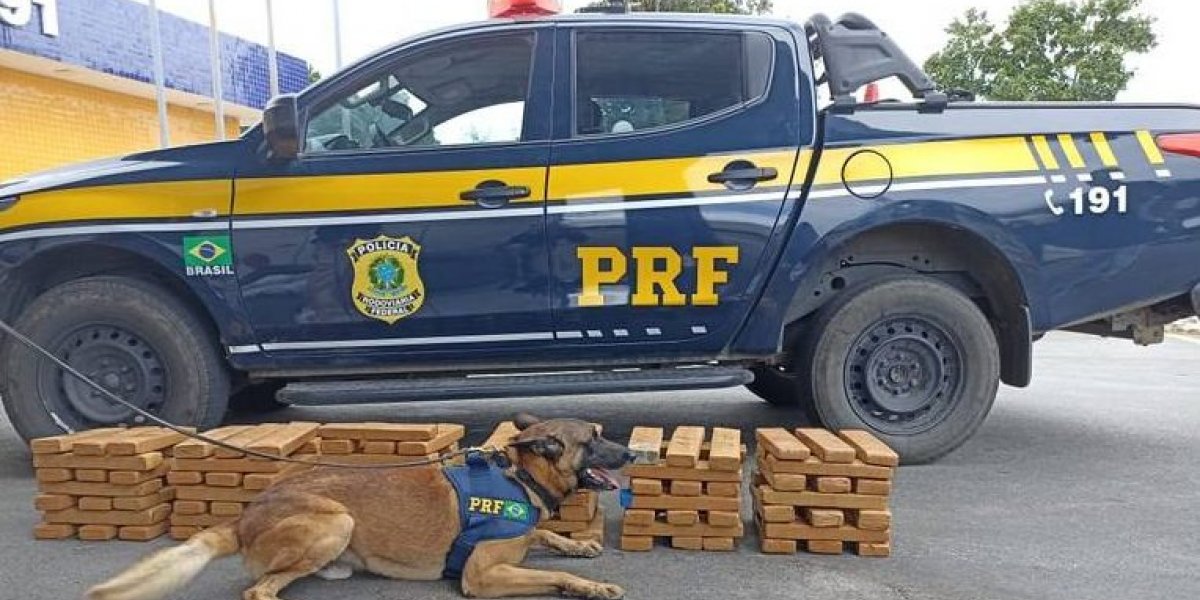 Fiscalização na BR 116 apreende 100 KG de maconha e homem é preso