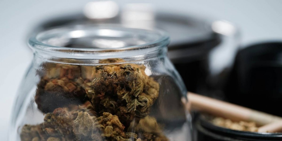 STF define critérios para diferenciação entre usuários e traficantes de maconha