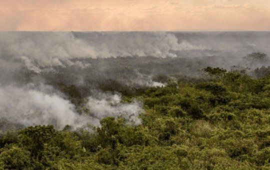 Pantanal pode enfrentar pior crise hídrica de sua história em 2024, diz estudo