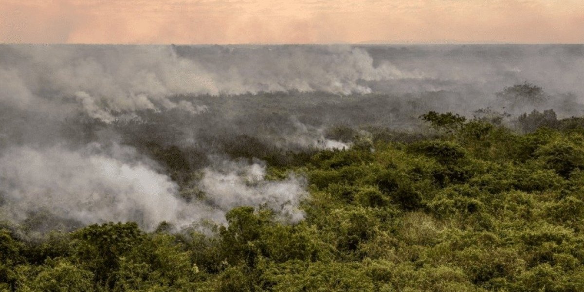 Pantanal pode enfrentar pior crise hídrica de sua história em 2024, diz estudo