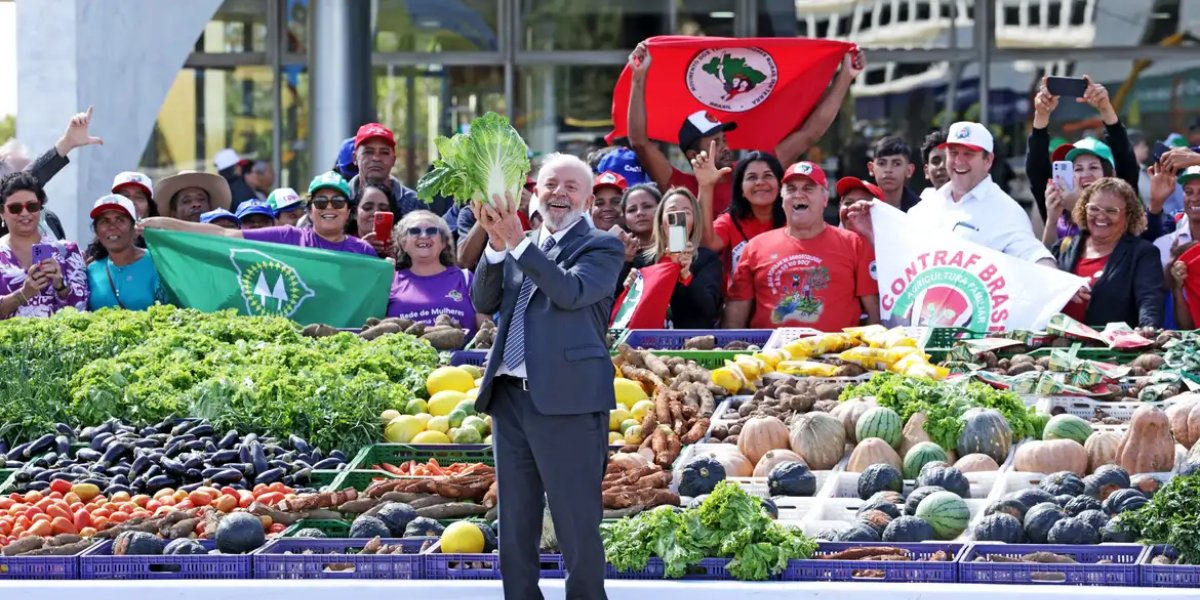 Agricultura familiar contará com R$ 76 bi para produção de alimentos em 2024/25