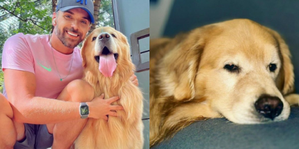 Laudo aponta motivo da morte do cachorro Joca