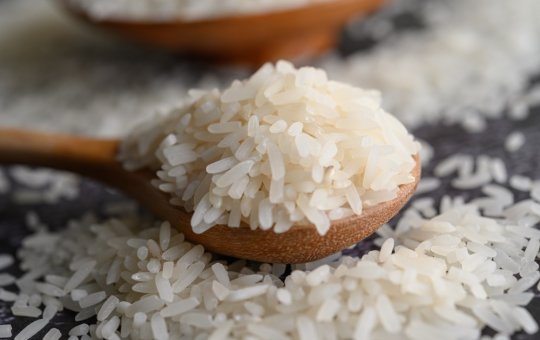 Governo, indústria e produtor fazem acordo para monitorar preço do arroz