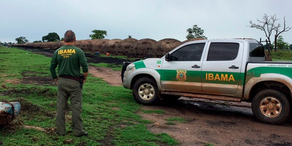 Governo Federal autoriza novos concursos para Ibama, ICMBio e JBRJ